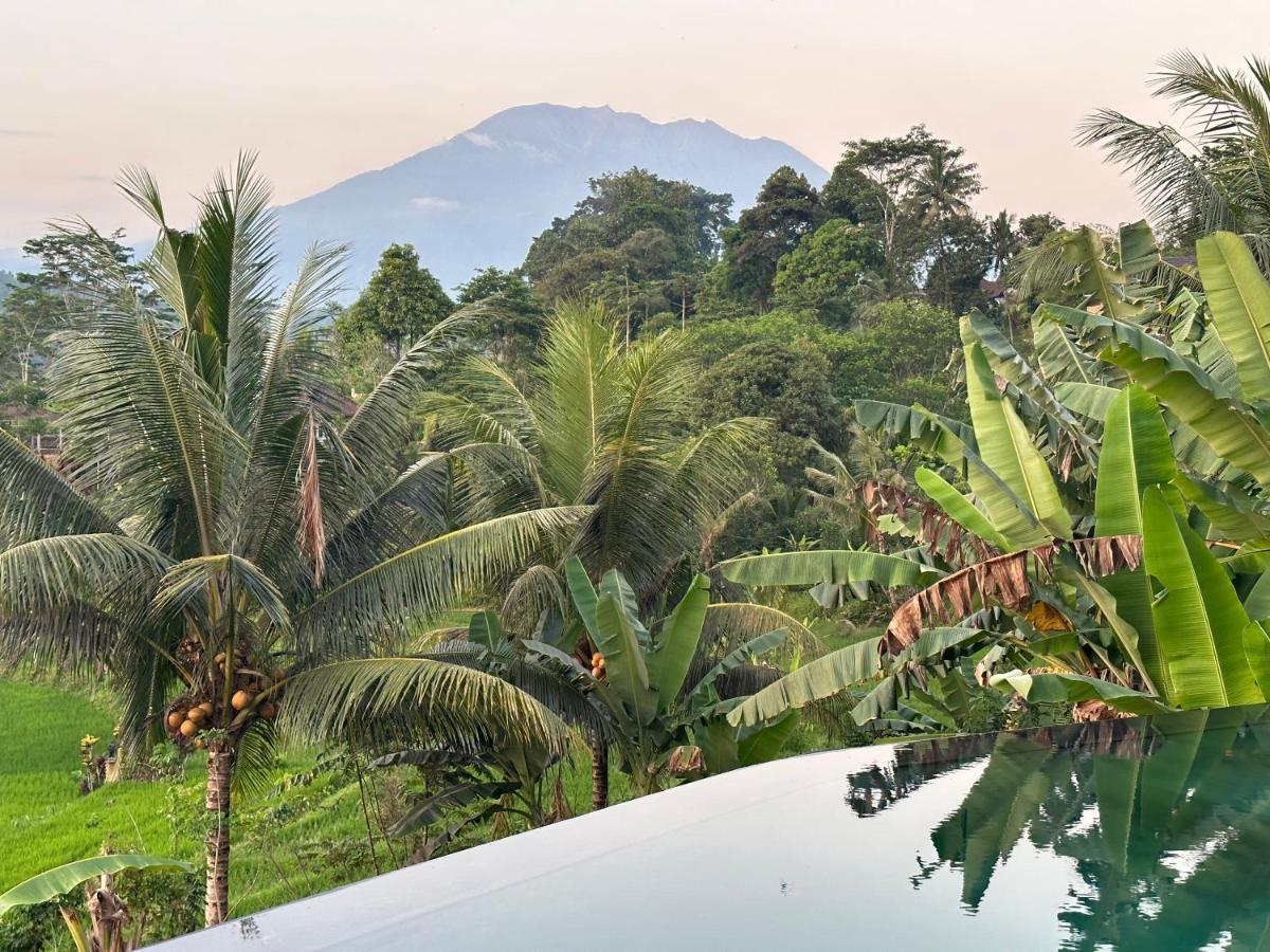 Nana Suites Villa Sidemen  Exterior photo